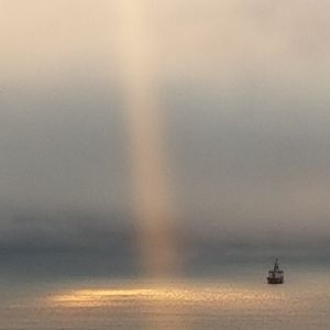 Meet your Posher, Pamela